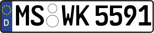 MS-WK5591