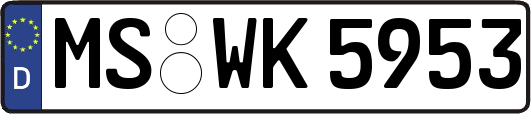 MS-WK5953