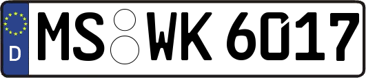 MS-WK6017