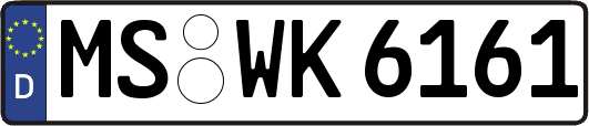MS-WK6161