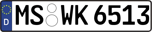 MS-WK6513