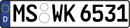 MS-WK6531