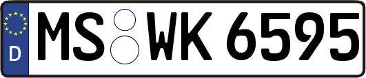 MS-WK6595