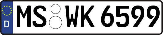 MS-WK6599