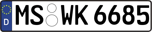 MS-WK6685
