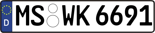 MS-WK6691