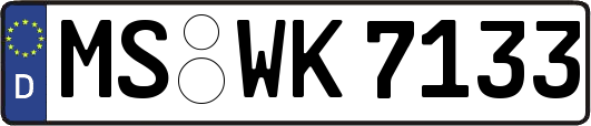 MS-WK7133