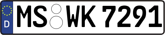 MS-WK7291