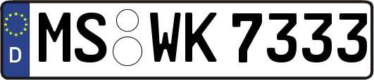 MS-WK7333
