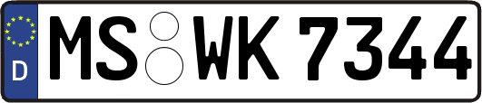 MS-WK7344