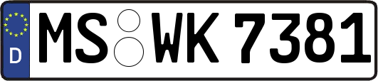 MS-WK7381