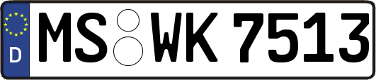 MS-WK7513