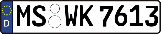MS-WK7613