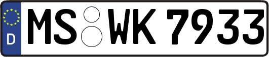 MS-WK7933