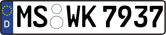 MS-WK7937