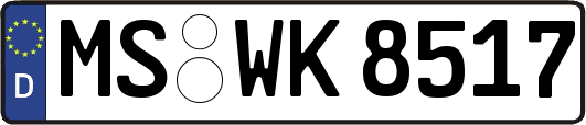 MS-WK8517