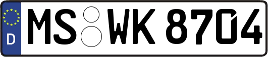 MS-WK8704
