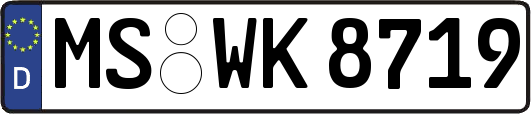 MS-WK8719