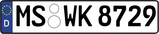 MS-WK8729