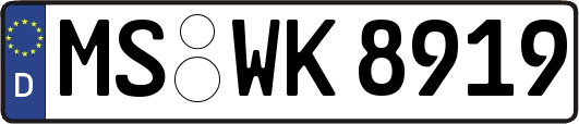 MS-WK8919
