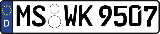 MS-WK9507
