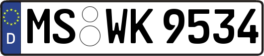 MS-WK9534