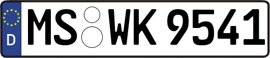 MS-WK9541