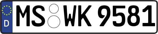 MS-WK9581