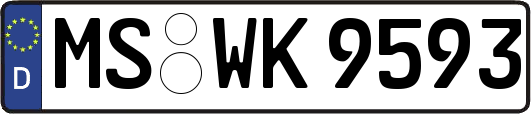 MS-WK9593