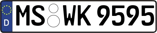 MS-WK9595