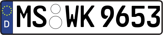 MS-WK9653