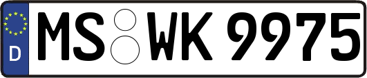 MS-WK9975