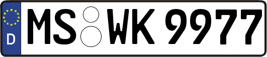 MS-WK9977