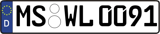 MS-WL0091
