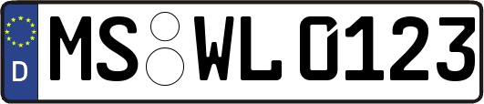 MS-WL0123