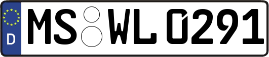 MS-WL0291