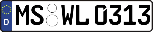 MS-WL0313