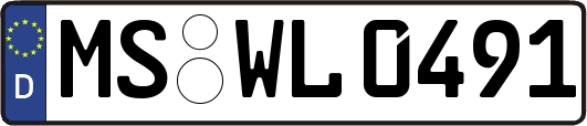 MS-WL0491