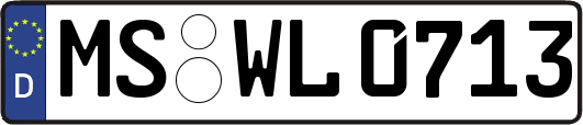 MS-WL0713