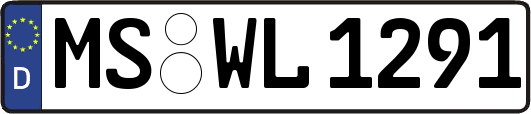 MS-WL1291