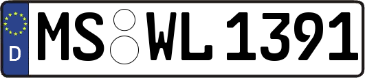 MS-WL1391