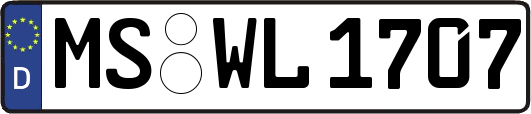 MS-WL1707