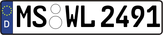MS-WL2491