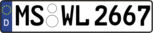 MS-WL2667