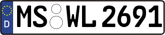 MS-WL2691
