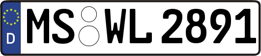 MS-WL2891