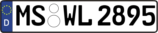 MS-WL2895