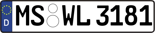 MS-WL3181