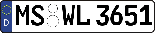 MS-WL3651