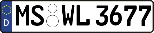 MS-WL3677